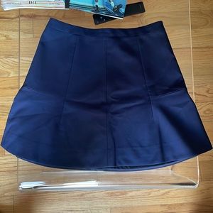 Mini skirt from jcrew